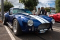AC Cobra_04